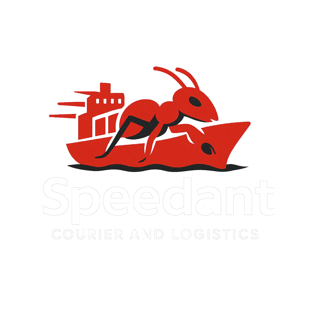 photo_2025-07-14_15-59-59